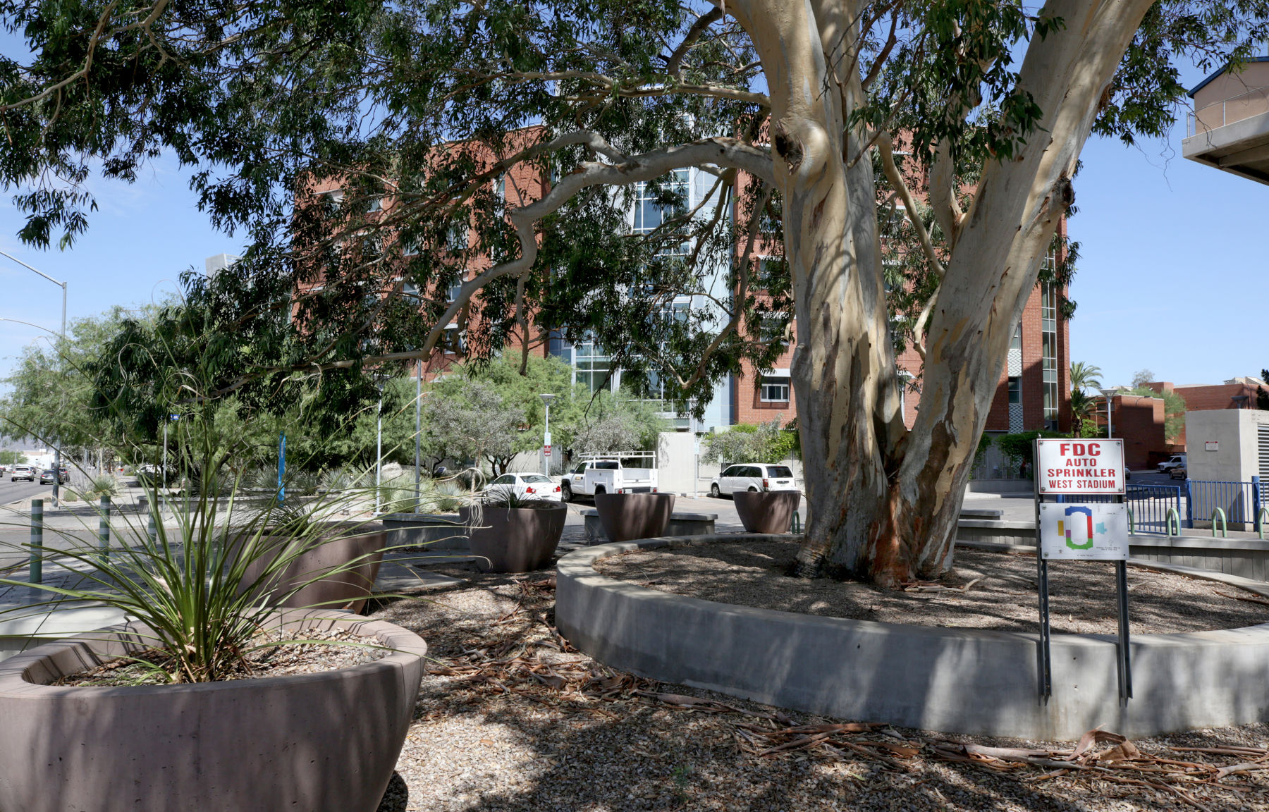 University of Arizona: Dorms
